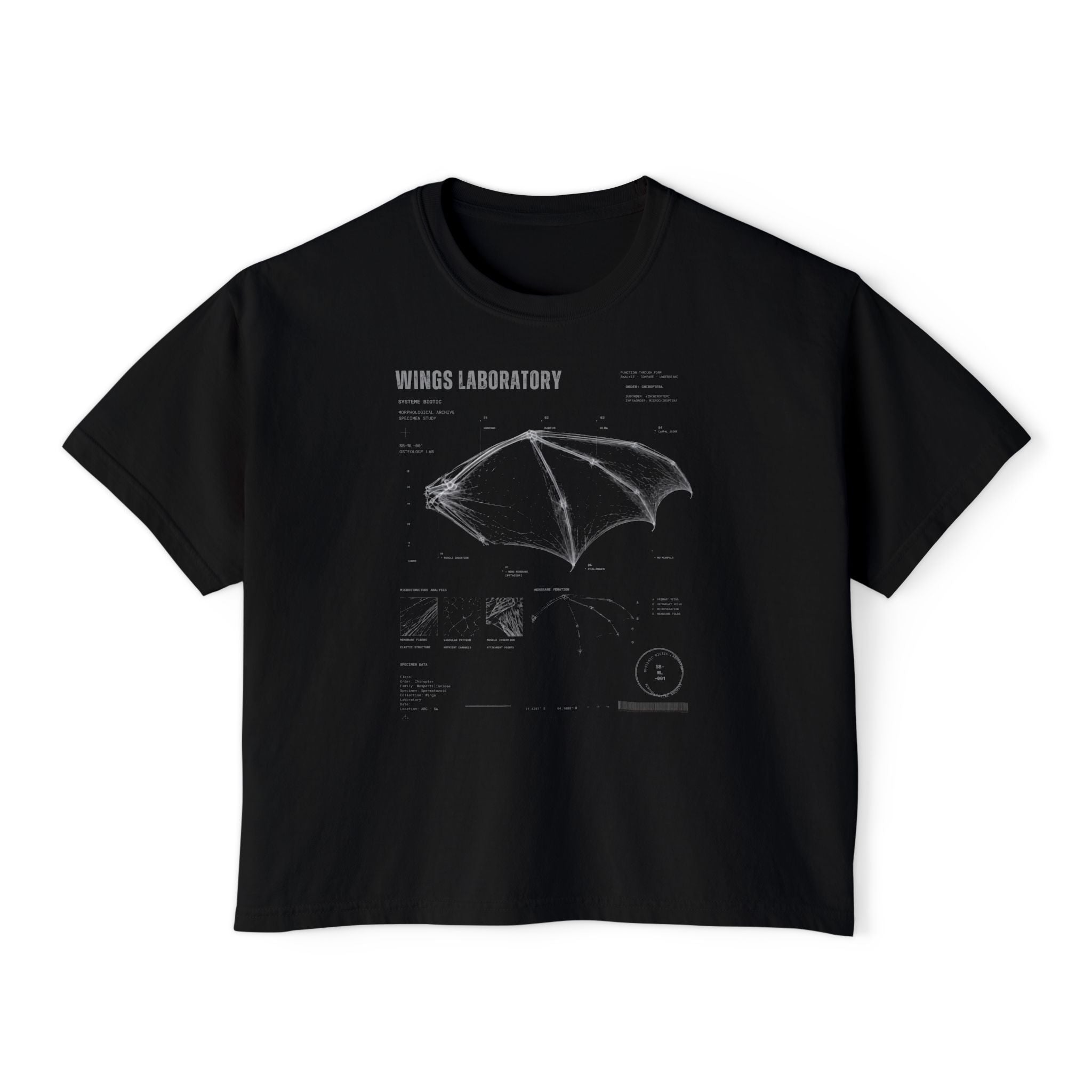 Bat Wing Diagram Boxy Tee | Wings Laboratory Graphic T-Shirt