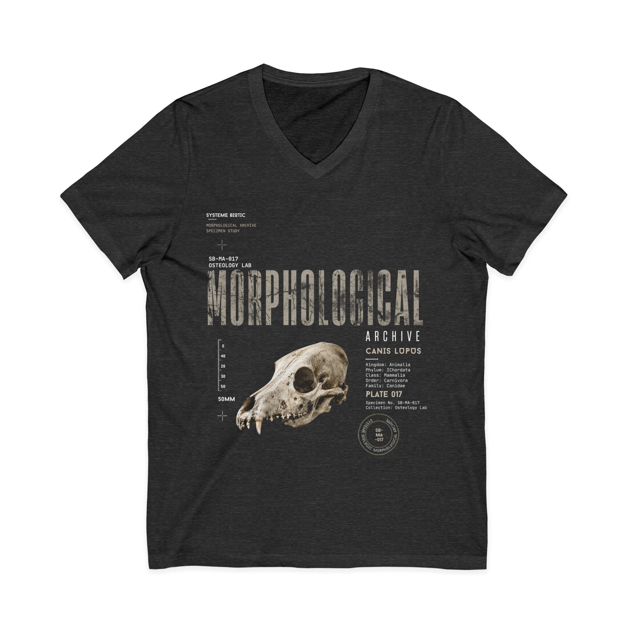 Morphological Skull Illustration Tee | Anatomical Graphic V-Neck Shirt