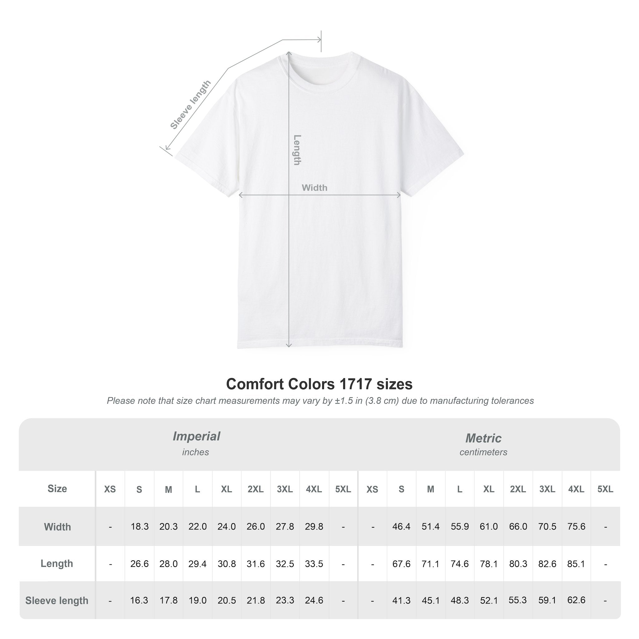 Spider Anatomy Graphic T-Shirt — Vintage Scientific Illustration Tee