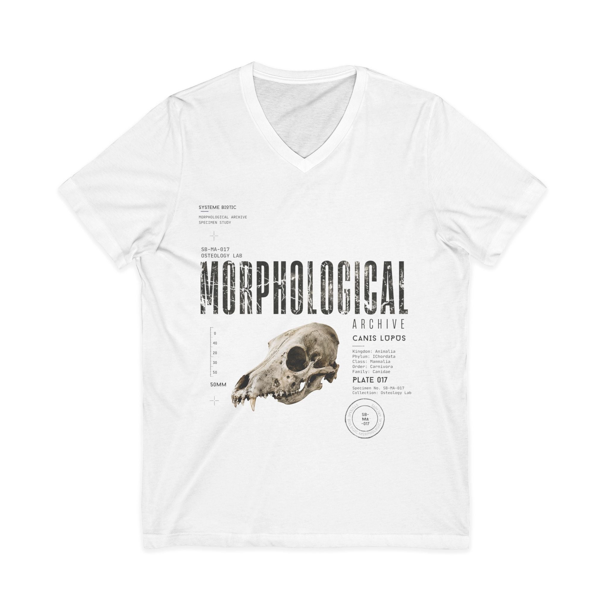 Morphological Skull Illustration Tee | Anatomical Graphic V-Neck Shirt