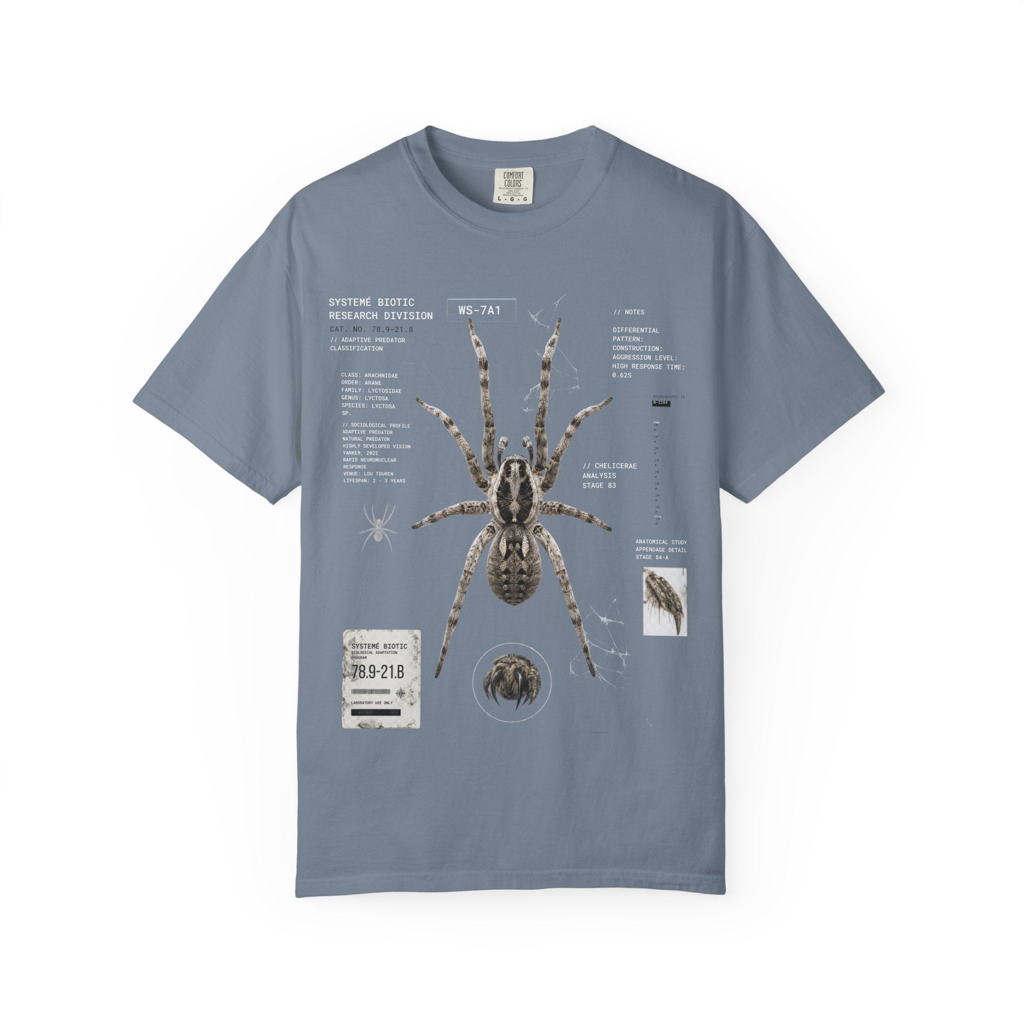 Spider Anatomy Graphic T-Shirt — Vintage Scientific Illustration Tee