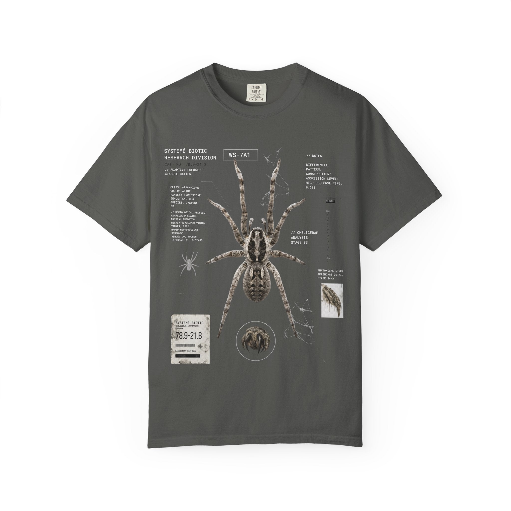 Spider Anatomy Graphic T-Shirt — Vintage Scientific Illustration Tee