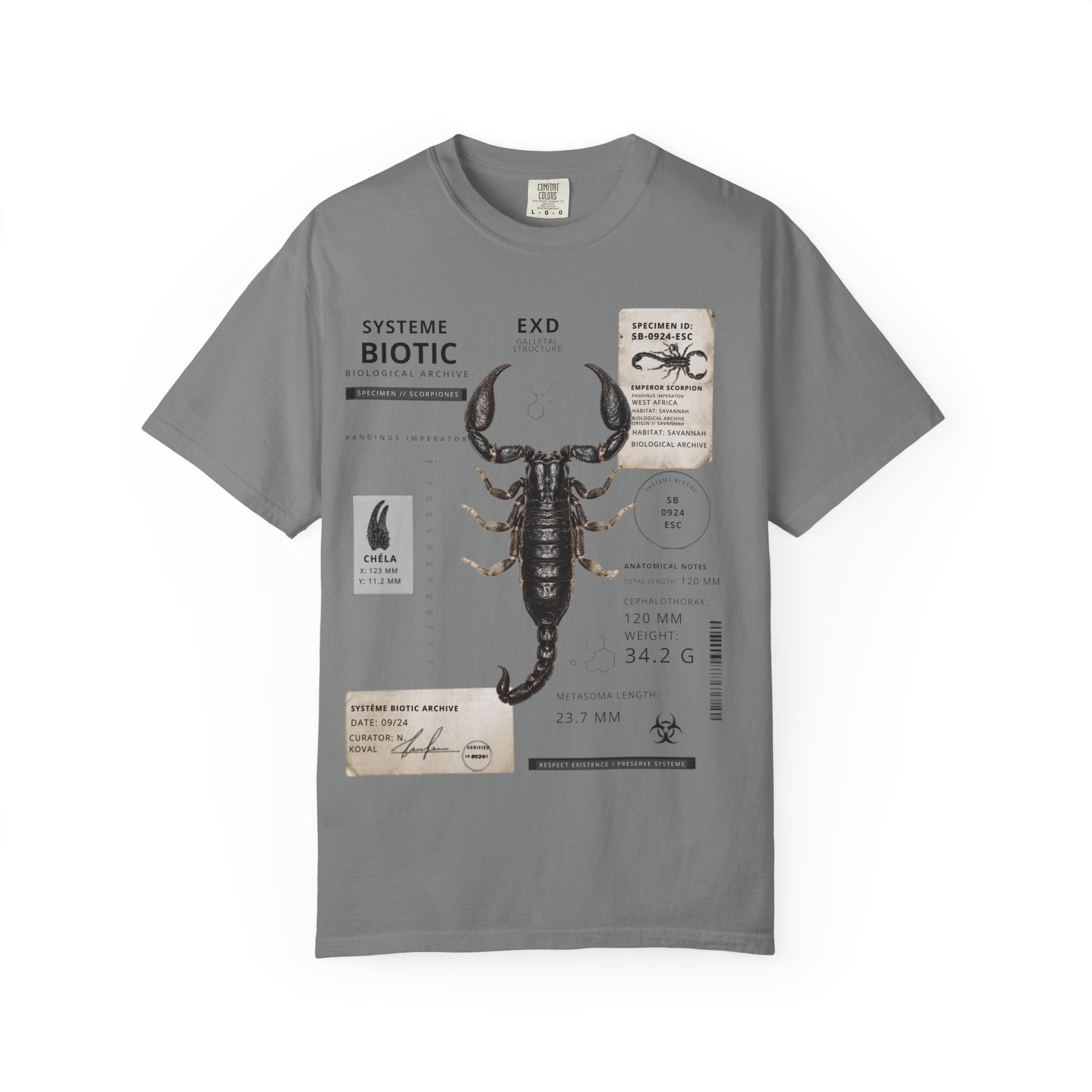 Scorpion Specimen Graphic T-Shirt