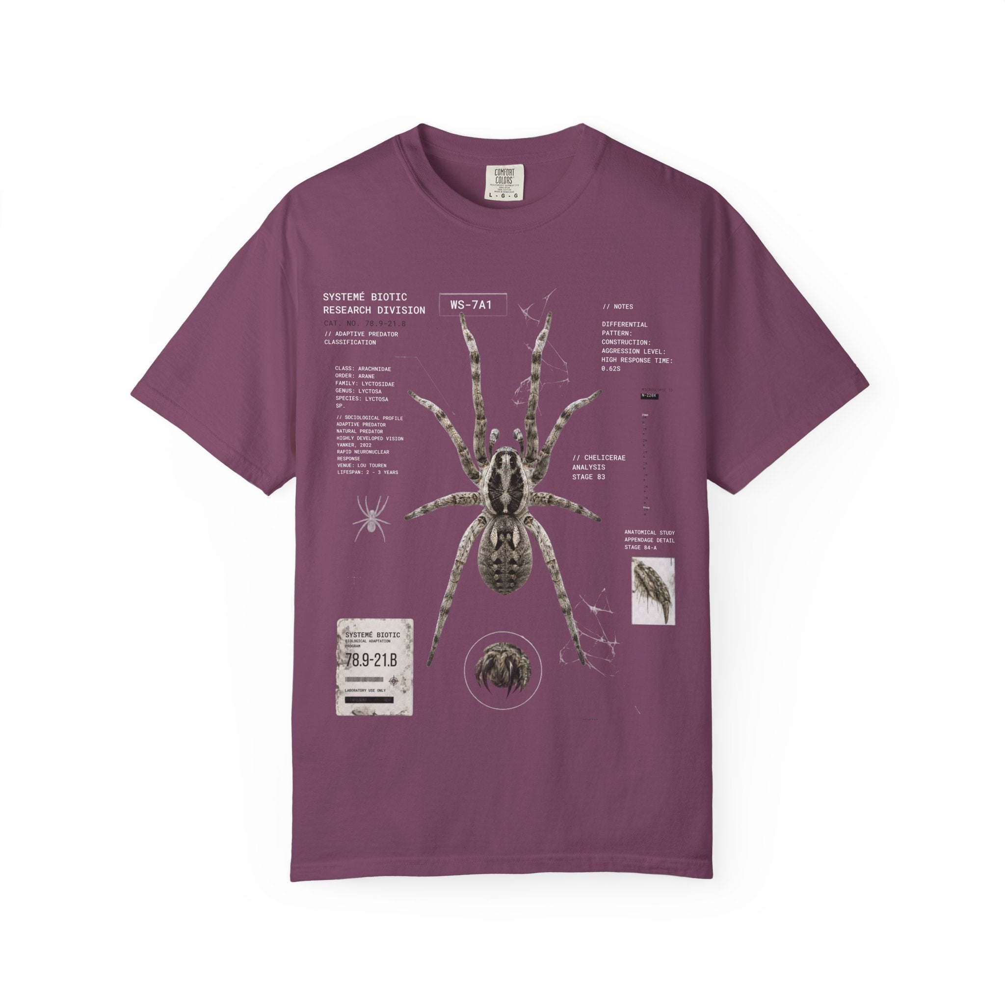 Spider Anatomy Graphic T-Shirt — Vintage Scientific Illustration Tee