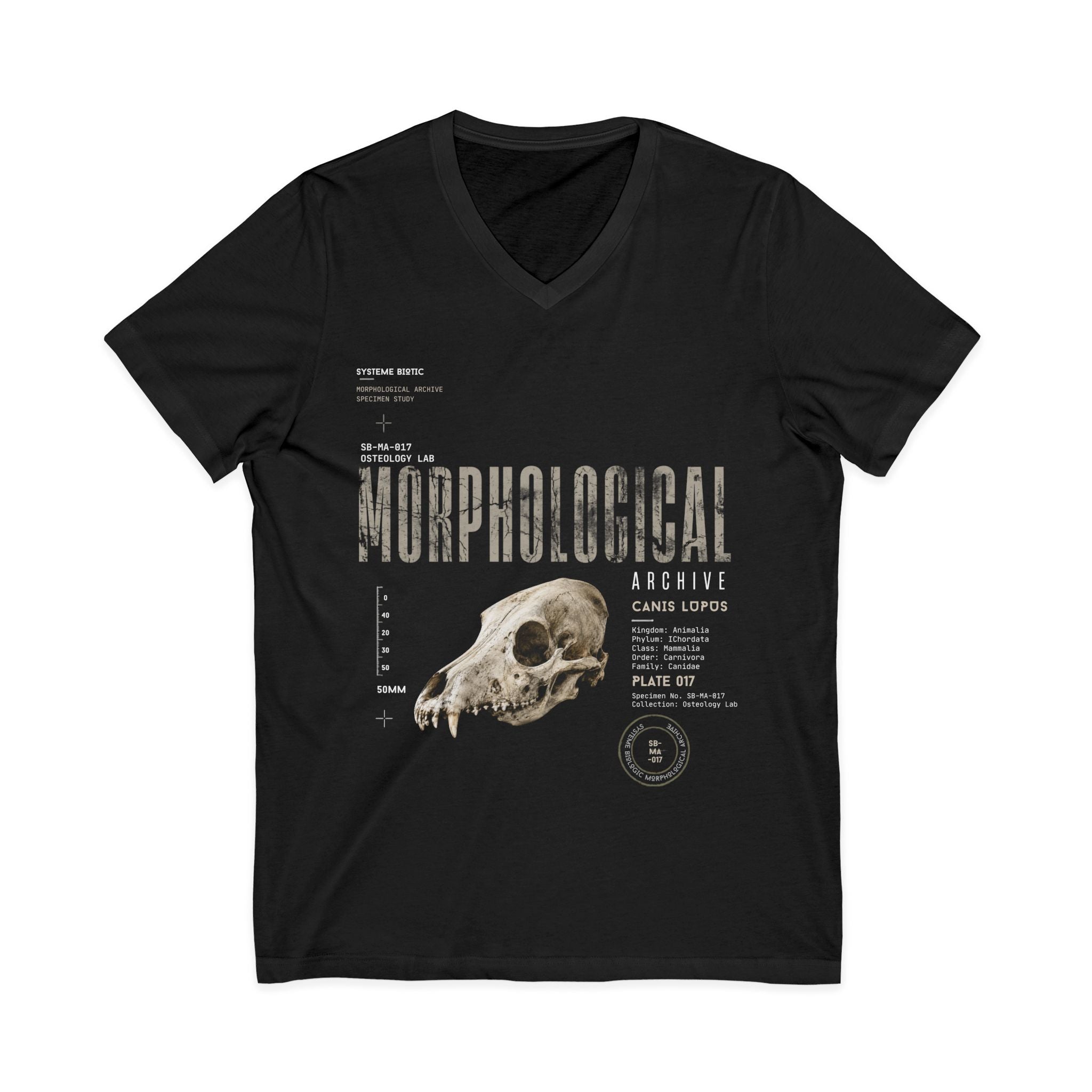 Morphological Skull Illustration Tee | Anatomical Graphic V-Neck Shirt