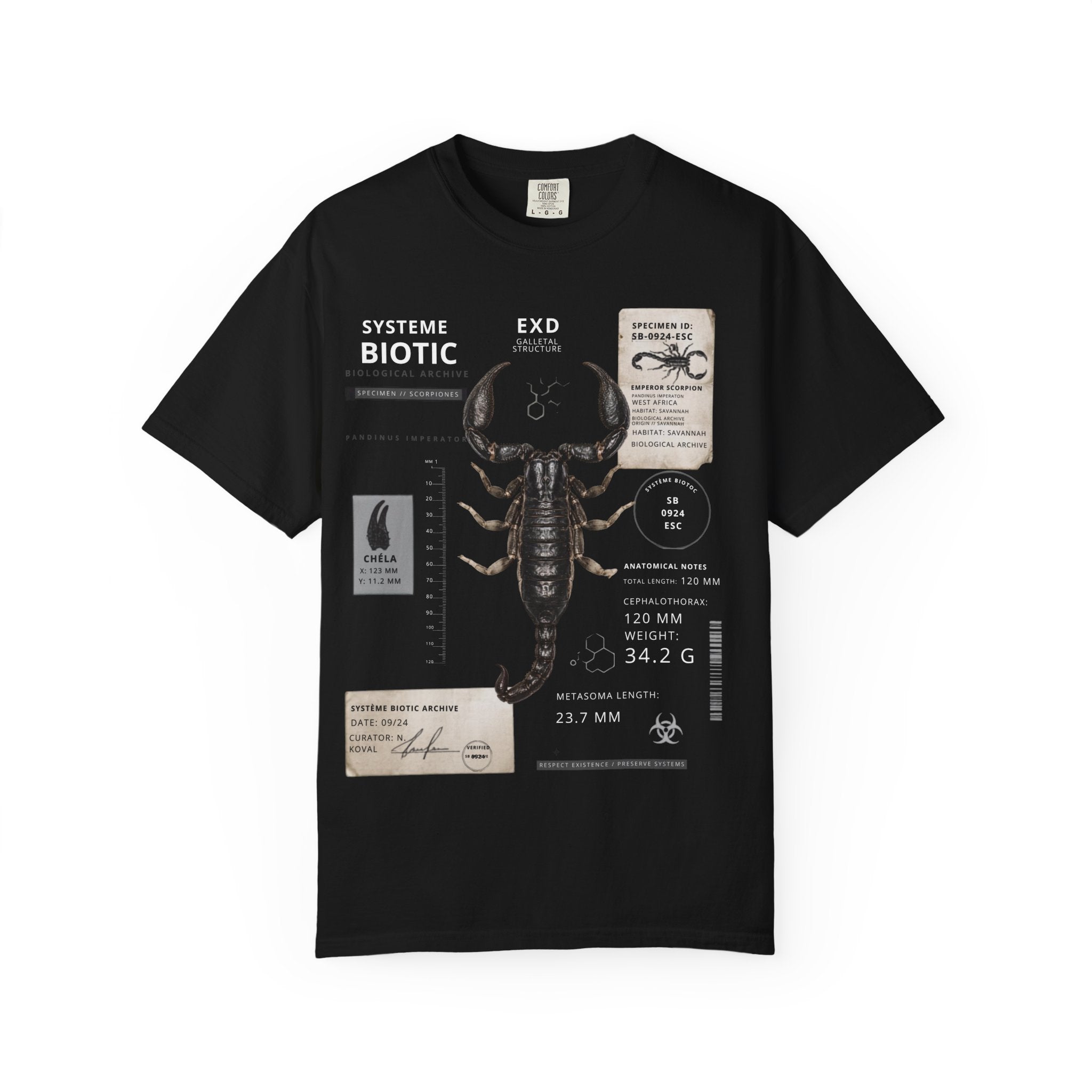 Scorpion Specimen Graphic T-Shirt