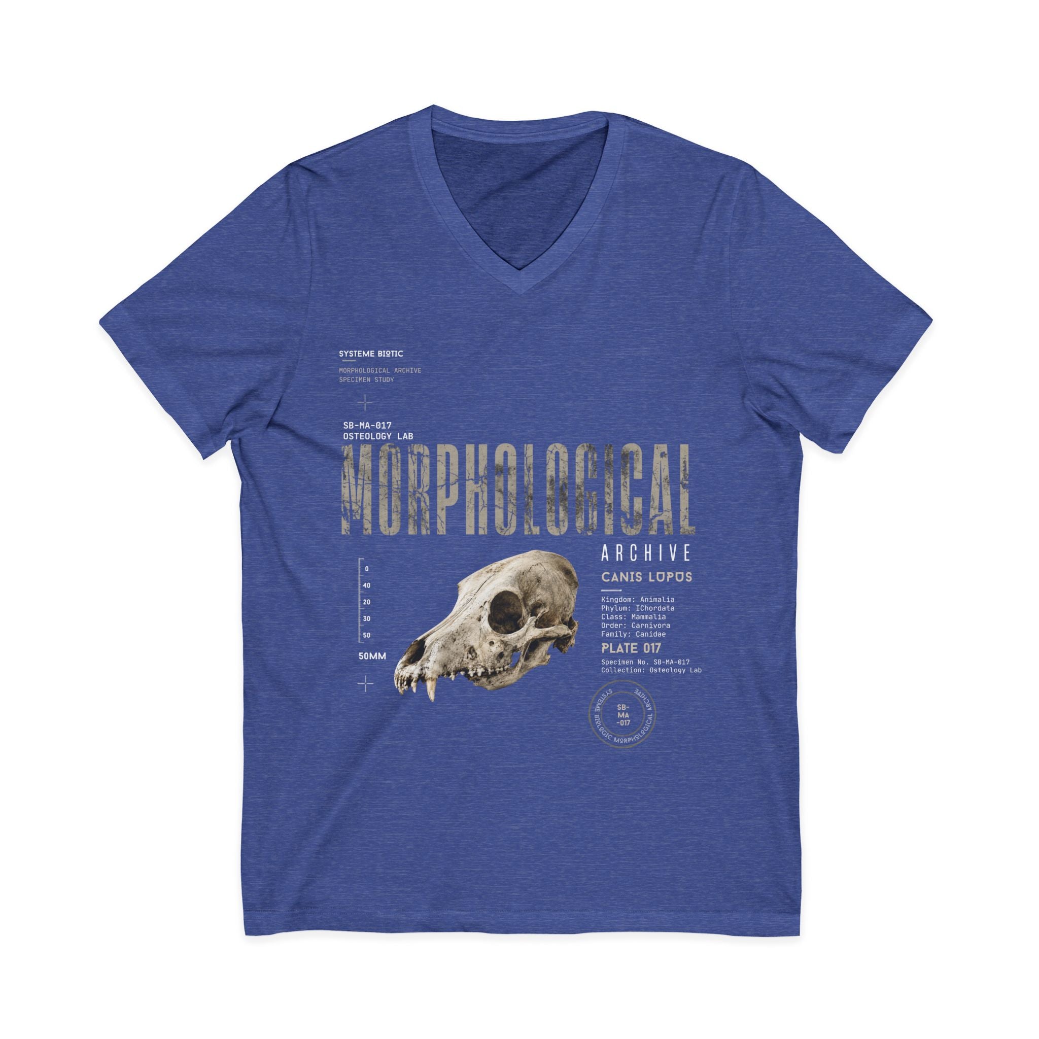 Morphological Skull Illustration Tee | Anatomical Graphic V-Neck Shirt