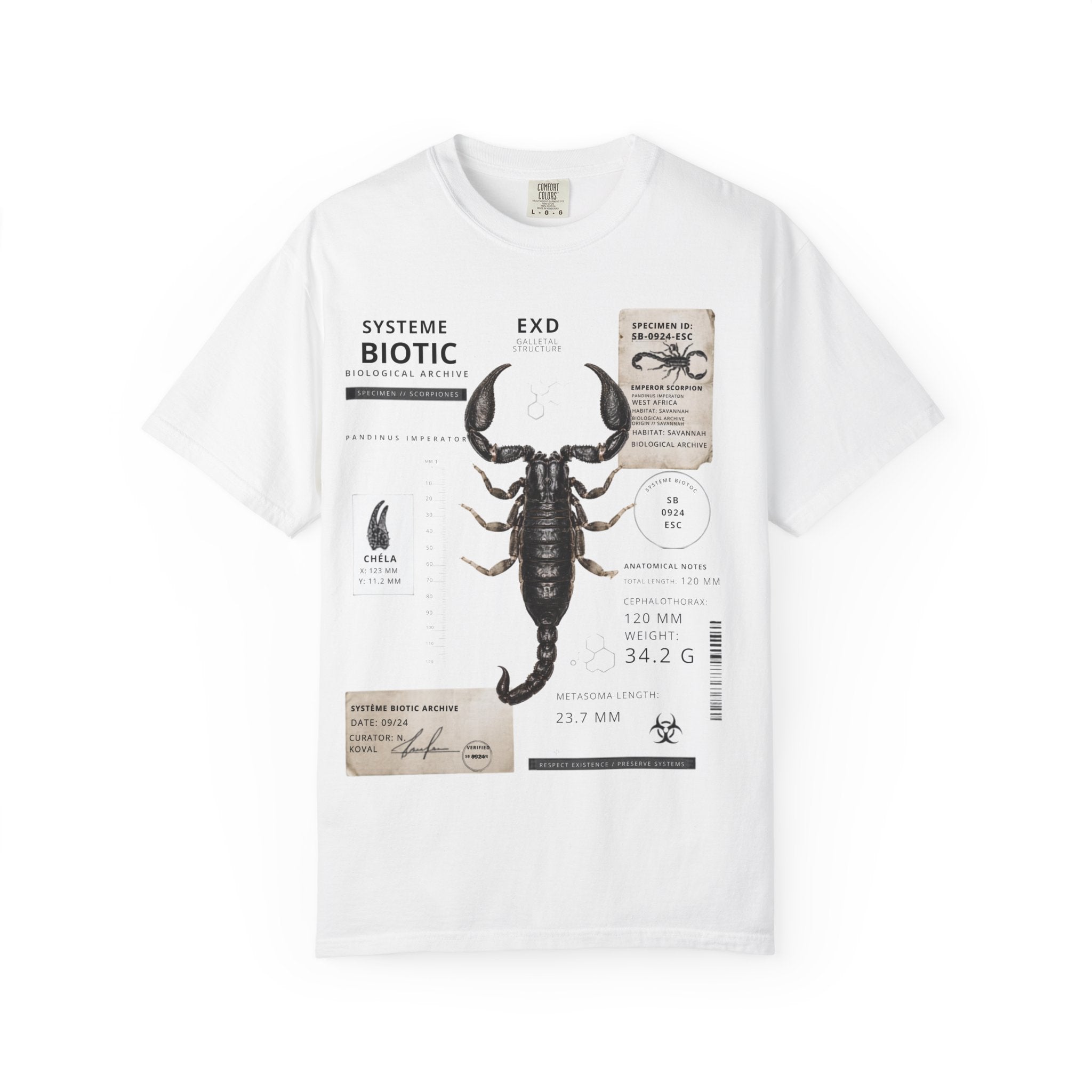 Scorpion Specimen Graphic T-Shirt