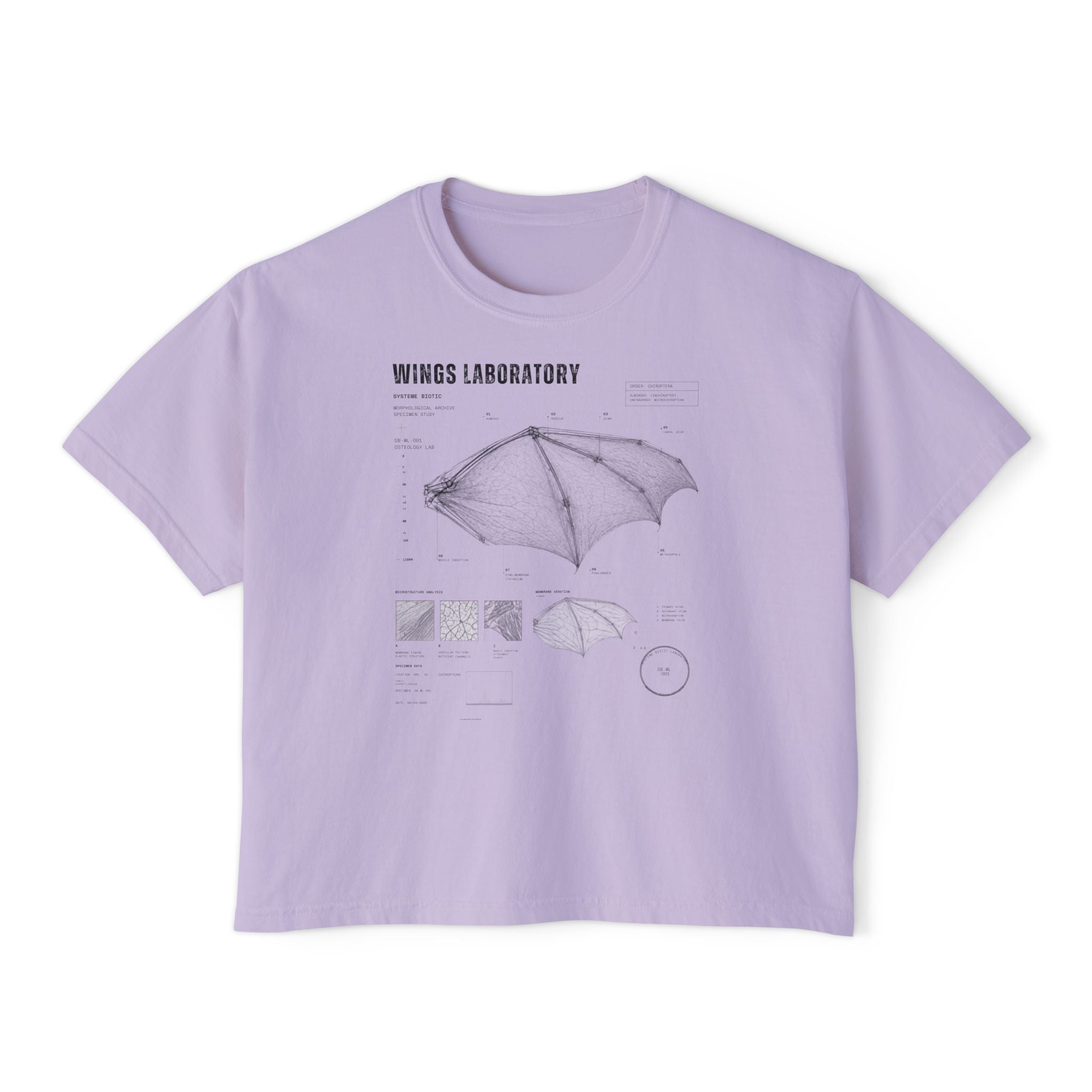 Bat Wing Diagram Boxy Tee | Wings Laboratory Graphic T-Shirt