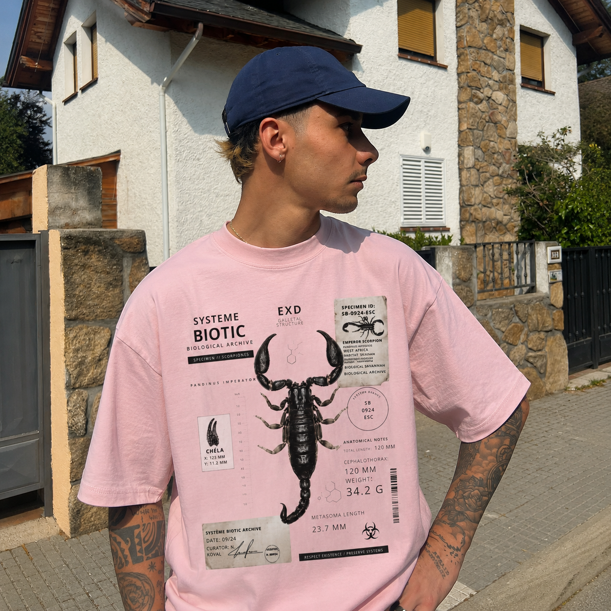 Scorpion Specimen Graphic T-Shirt