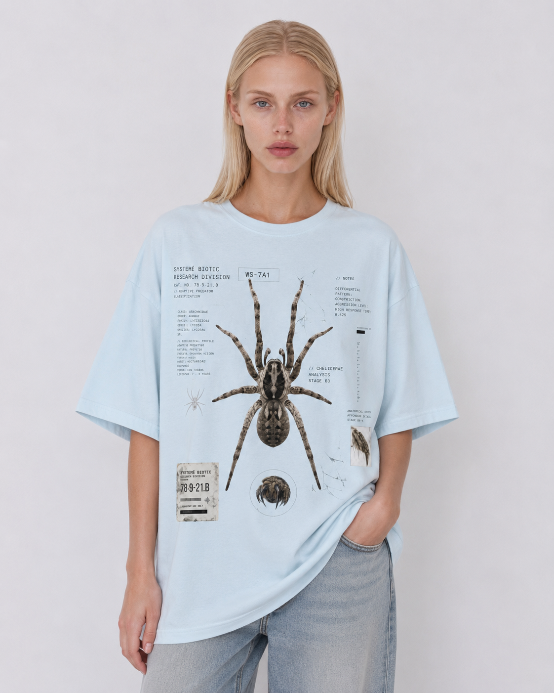 Spider Anatomy Graphic T-Shirt — Vintage Scientific Illustration Tee
