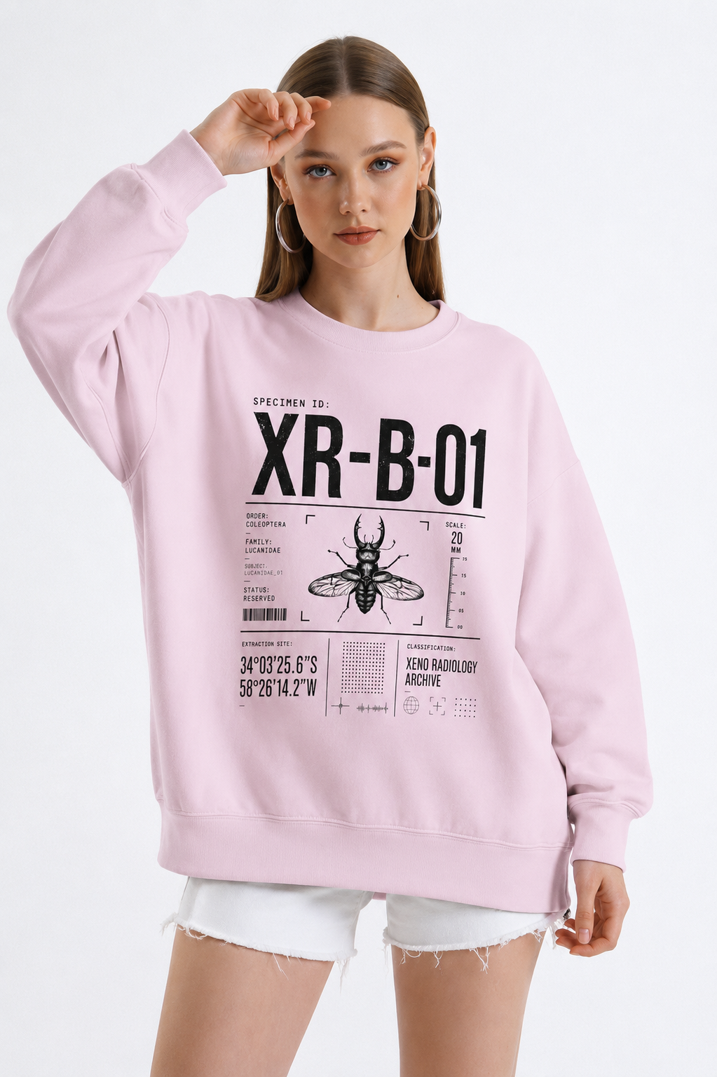 XR-B-01 Insect Specimen Diagram Sweatshirt | Entomology Illustration