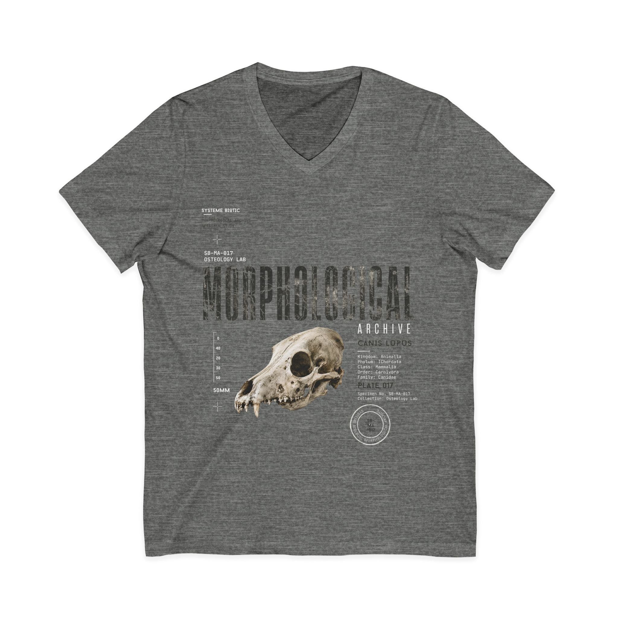 Morphological Skull Illustration Tee | Anatomical Graphic V-Neck Shirt