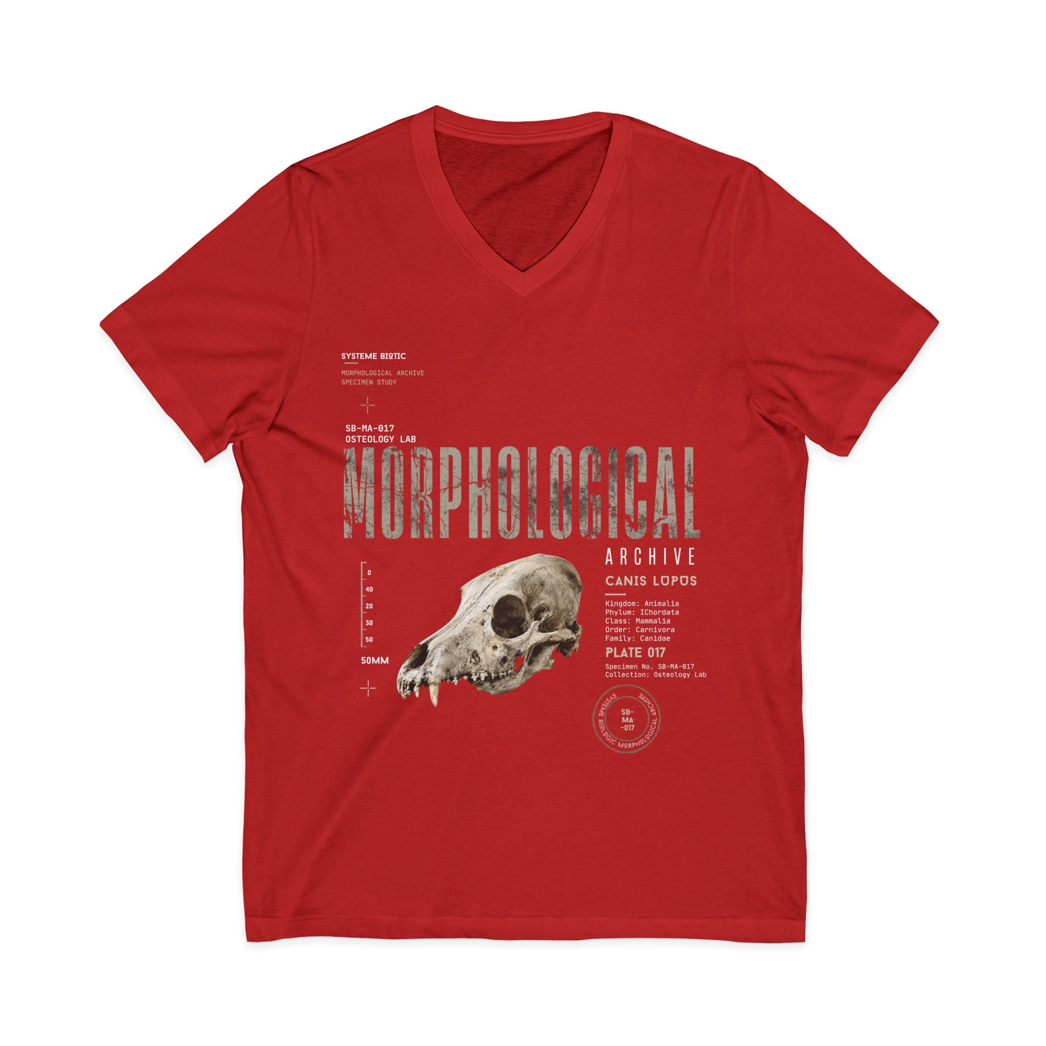 Morphological Skull Illustration Tee | Anatomical Graphic V-Neck Shirt