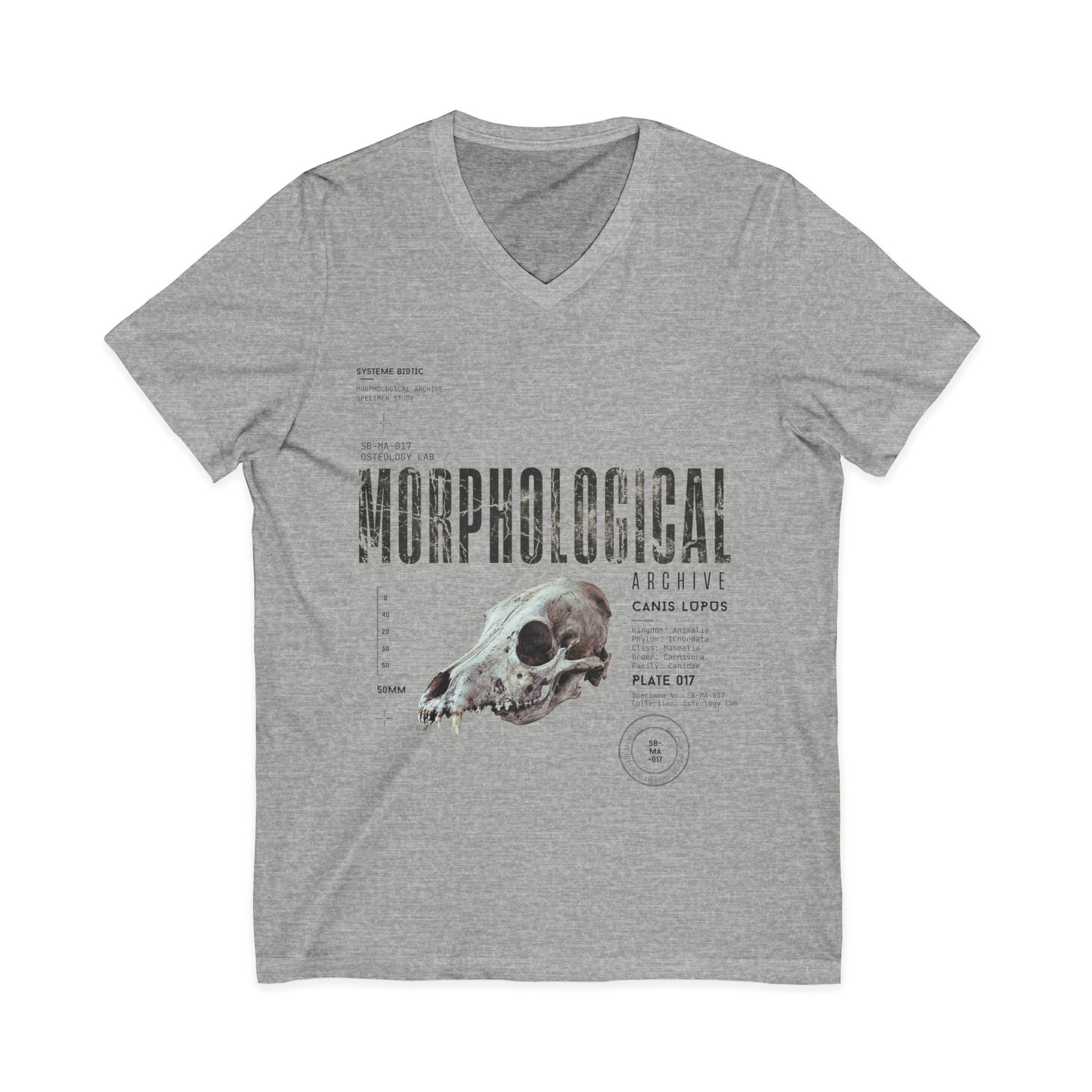 Morphological Skull Illustration Tee | Anatomical Graphic V-Neck Shirt