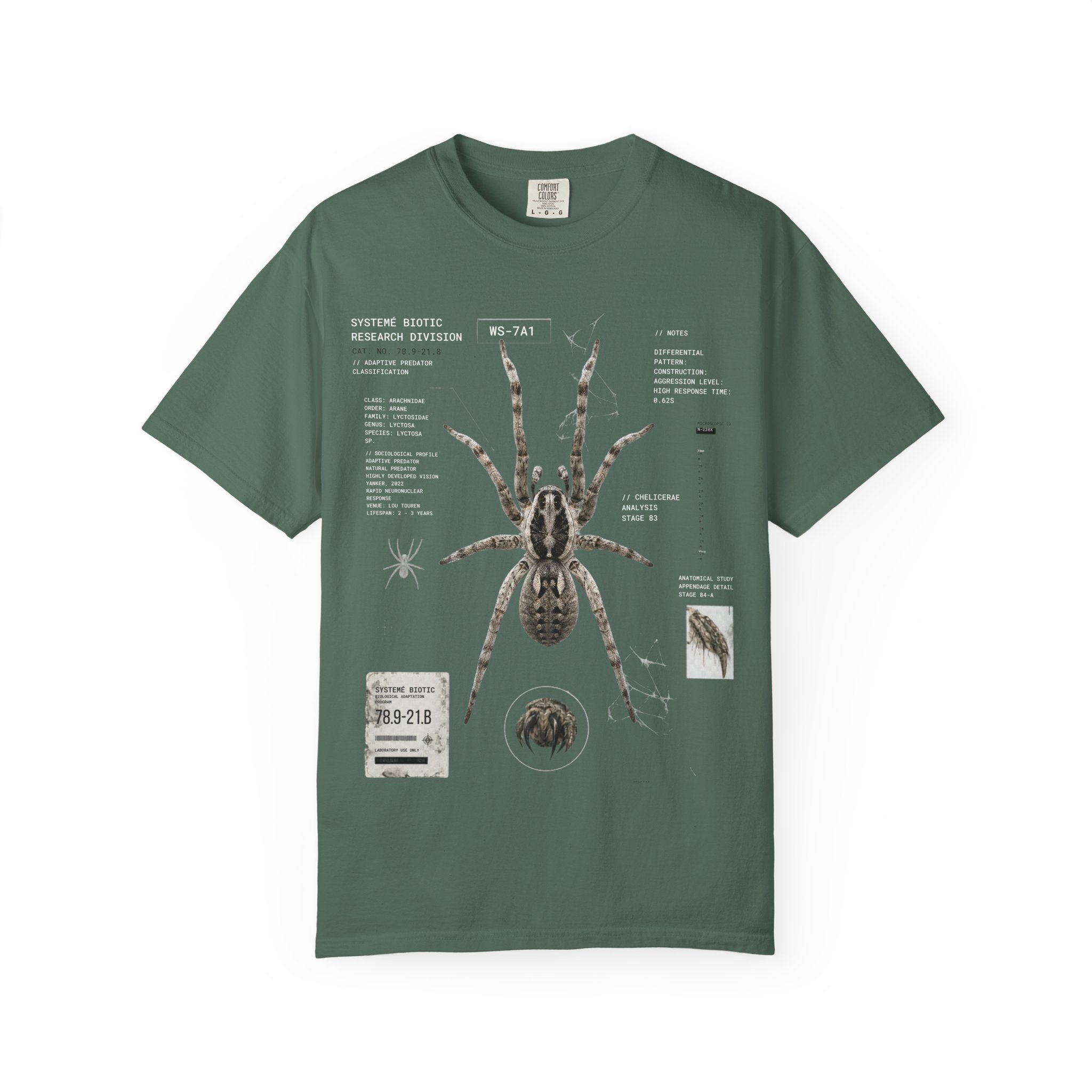 Spider Anatomy Graphic T-Shirt — Vintage Scientific Illustration Tee