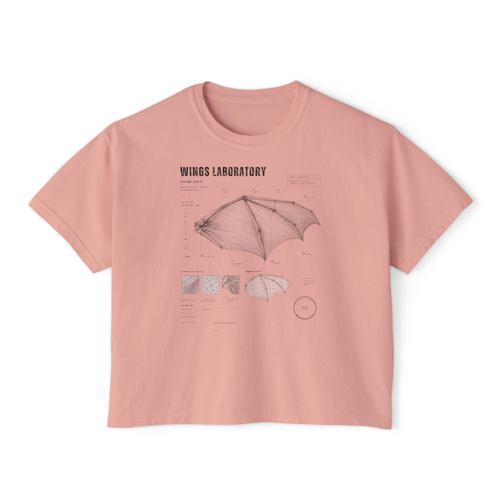 Bat Wing Diagram Boxy Tee | Wings Laboratory Graphic T-Shirt