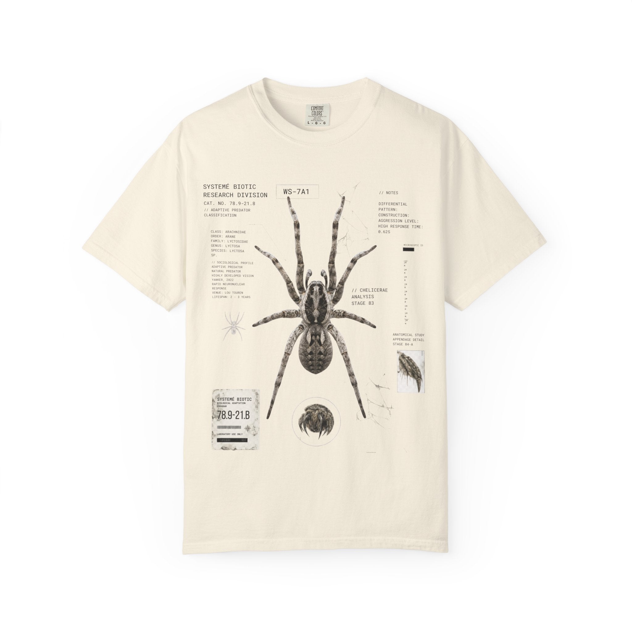 Spider Anatomy Graphic T-Shirt — Vintage Scientific Illustration Tee