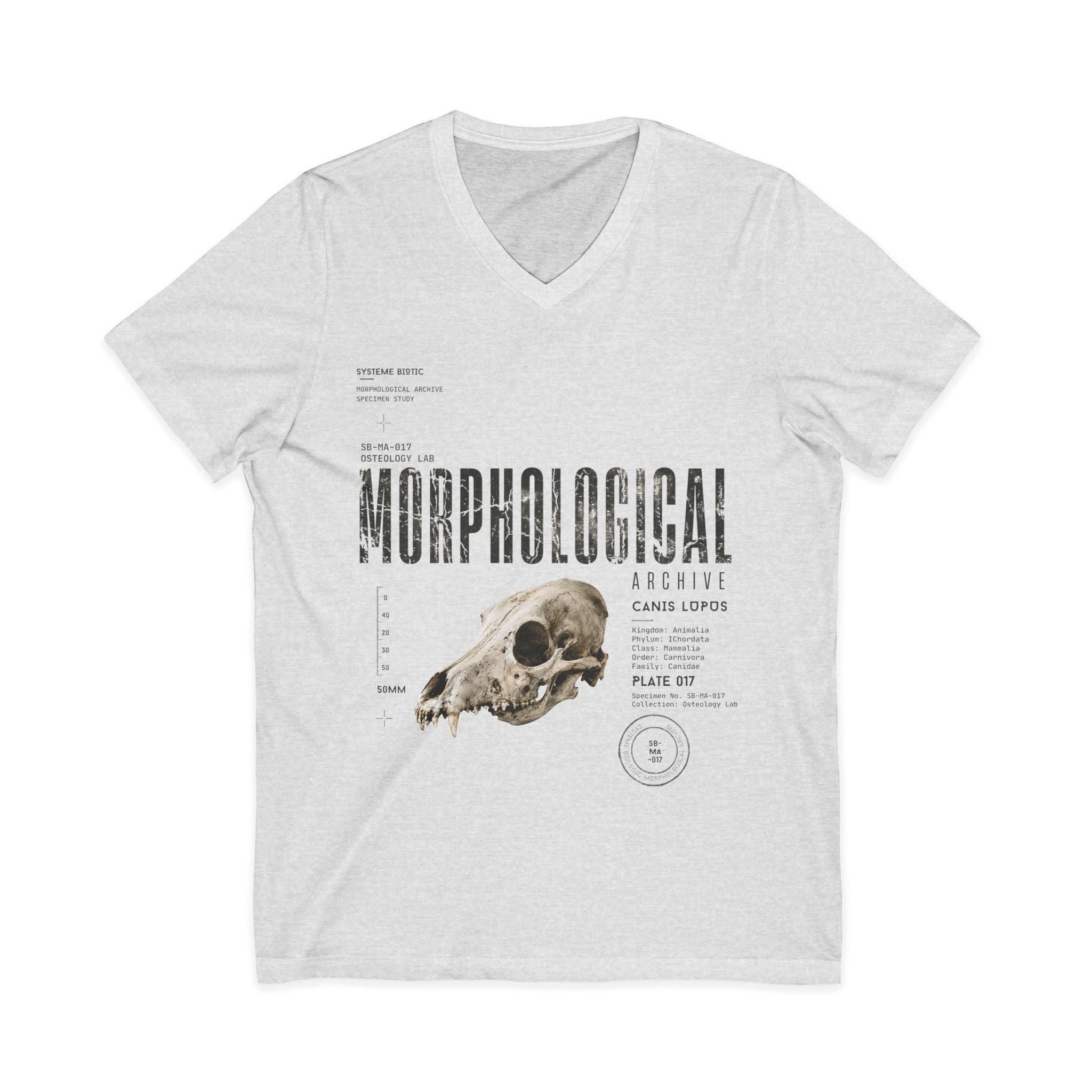 Morphological Skull Illustration Tee | Anatomical Graphic V-Neck Shirt