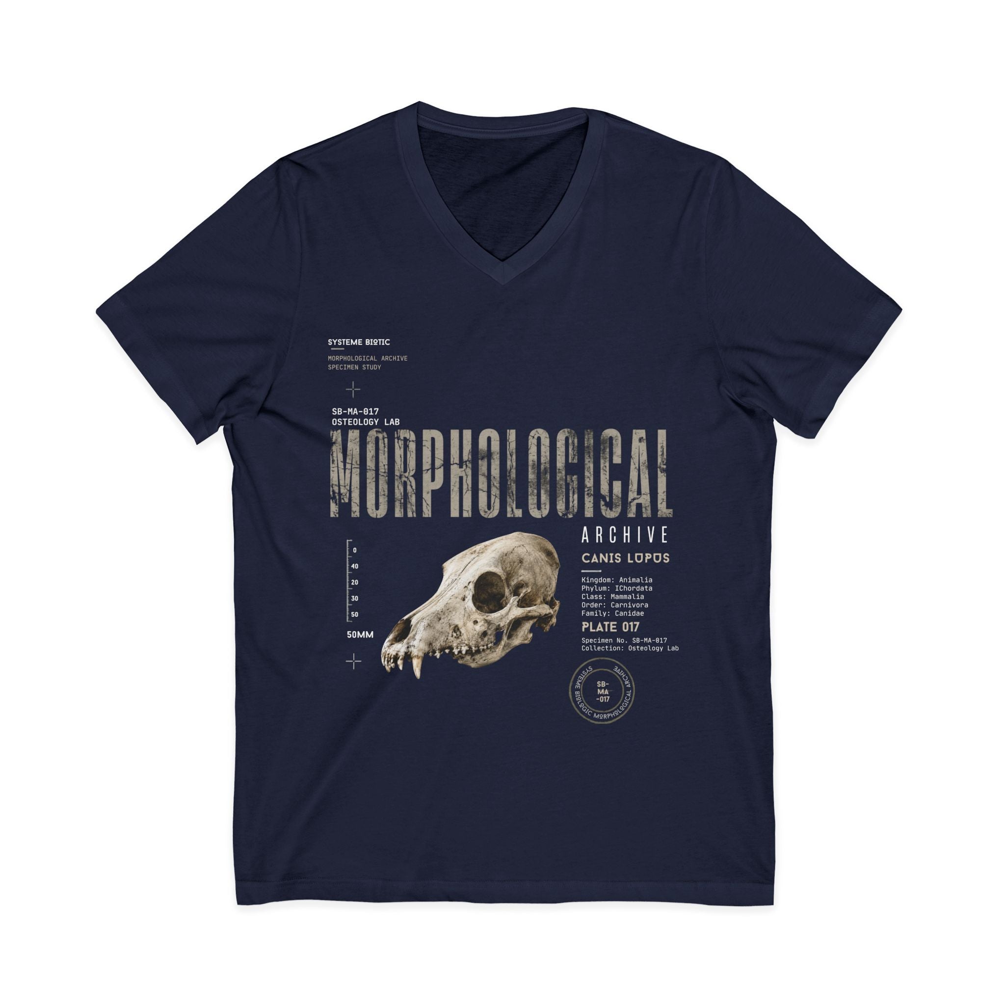 Morphological Skull Illustration Tee | Anatomical Graphic V-Neck Shirt