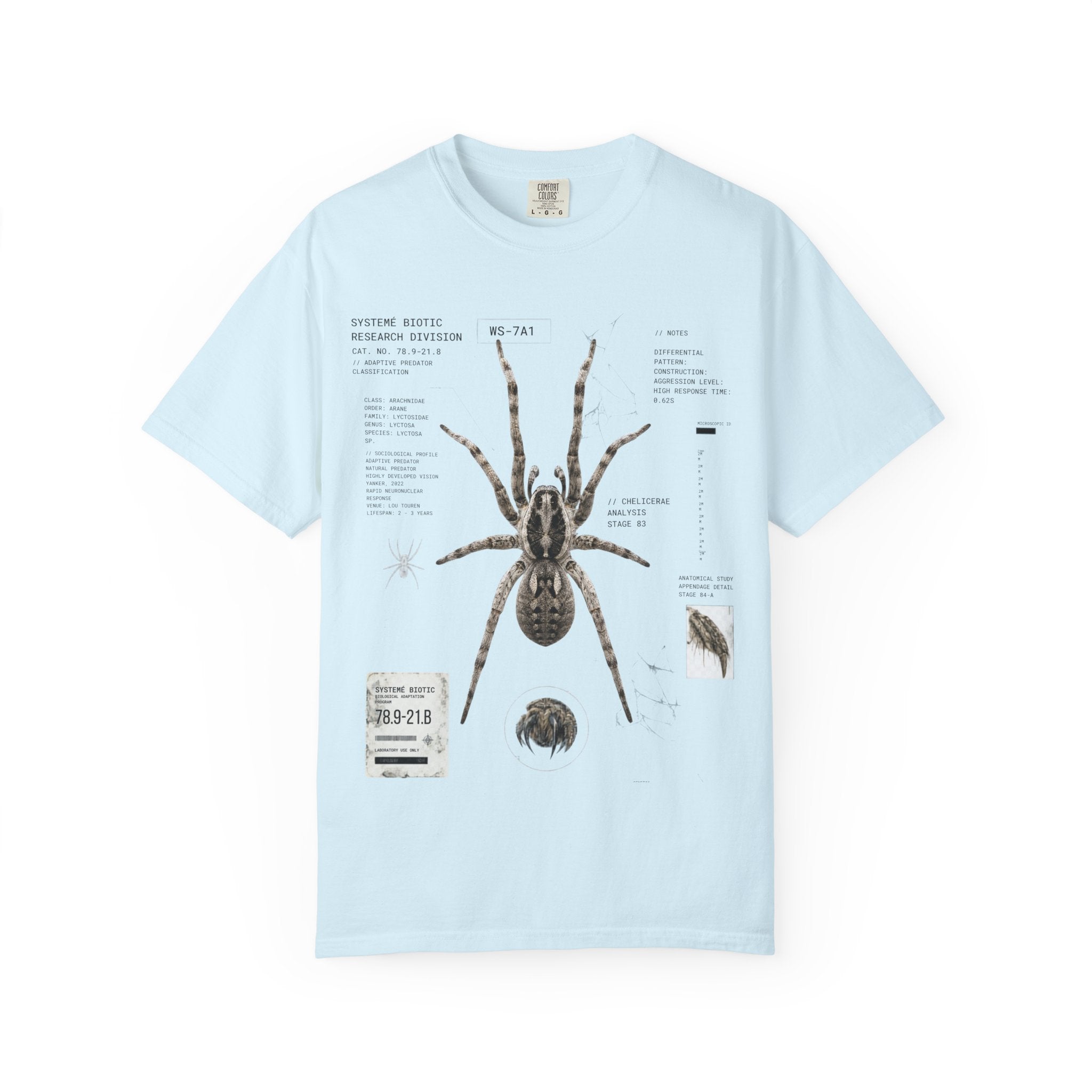 Spider Anatomy Graphic T-Shirt — Vintage Scientific Illustration Tee