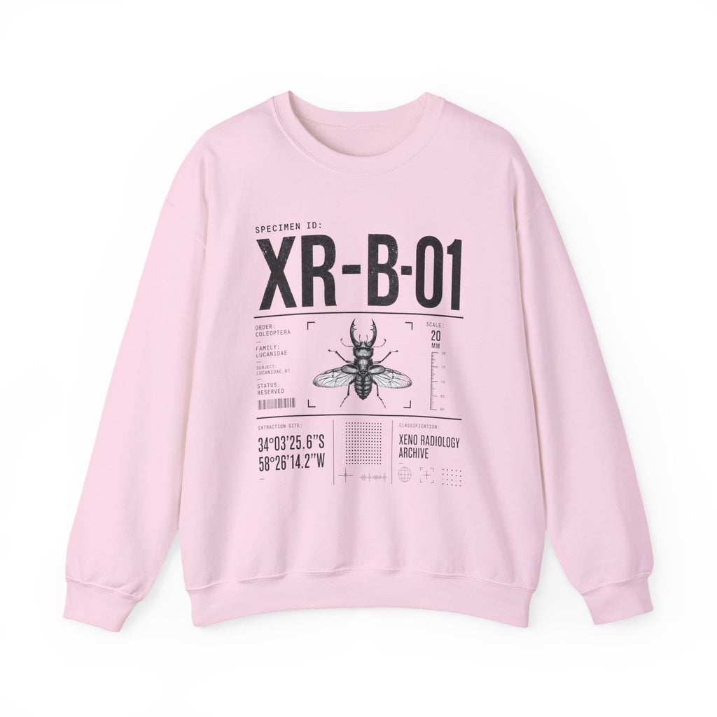 XR-B-01 Insect Specimen Diagram Sweatshirt | Entomology Illustration