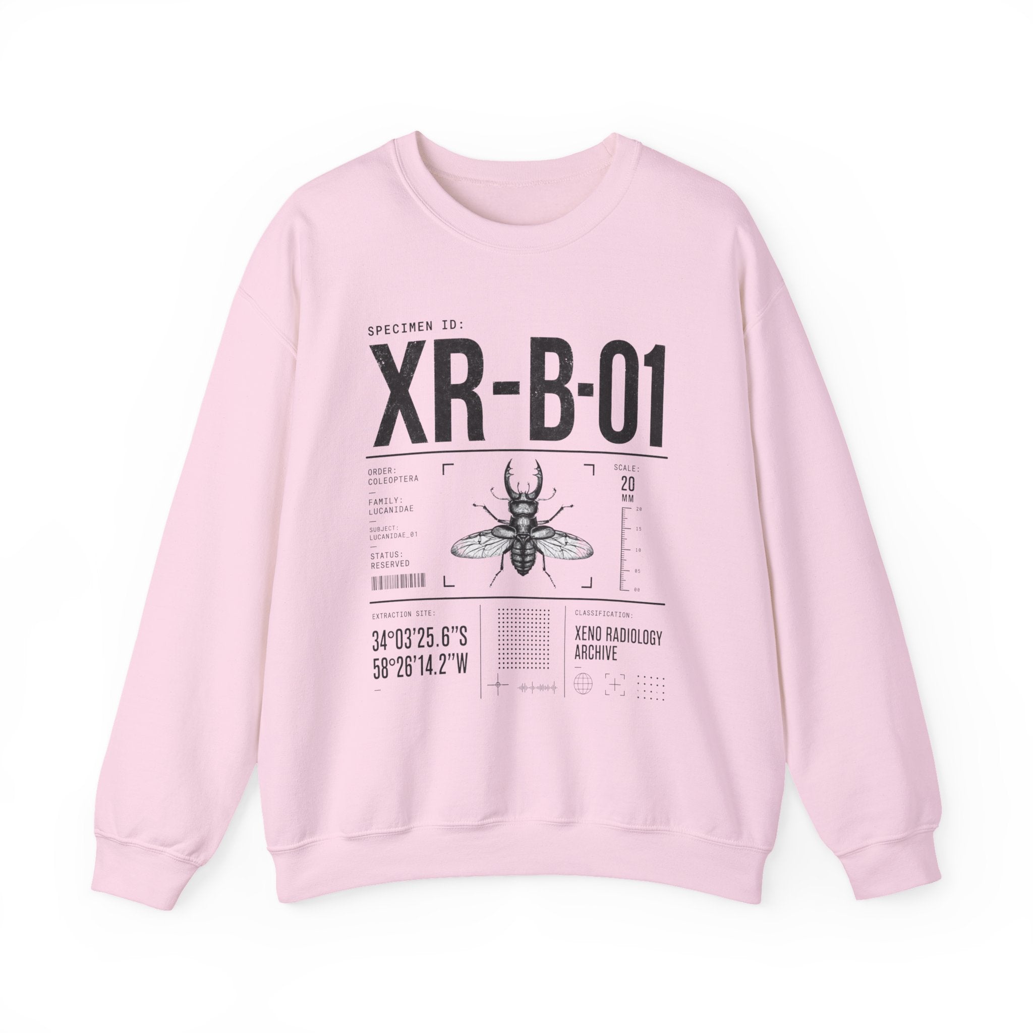 XR-B-01 Insect Specimen Diagram Sweatshirt | Entomology Illustration