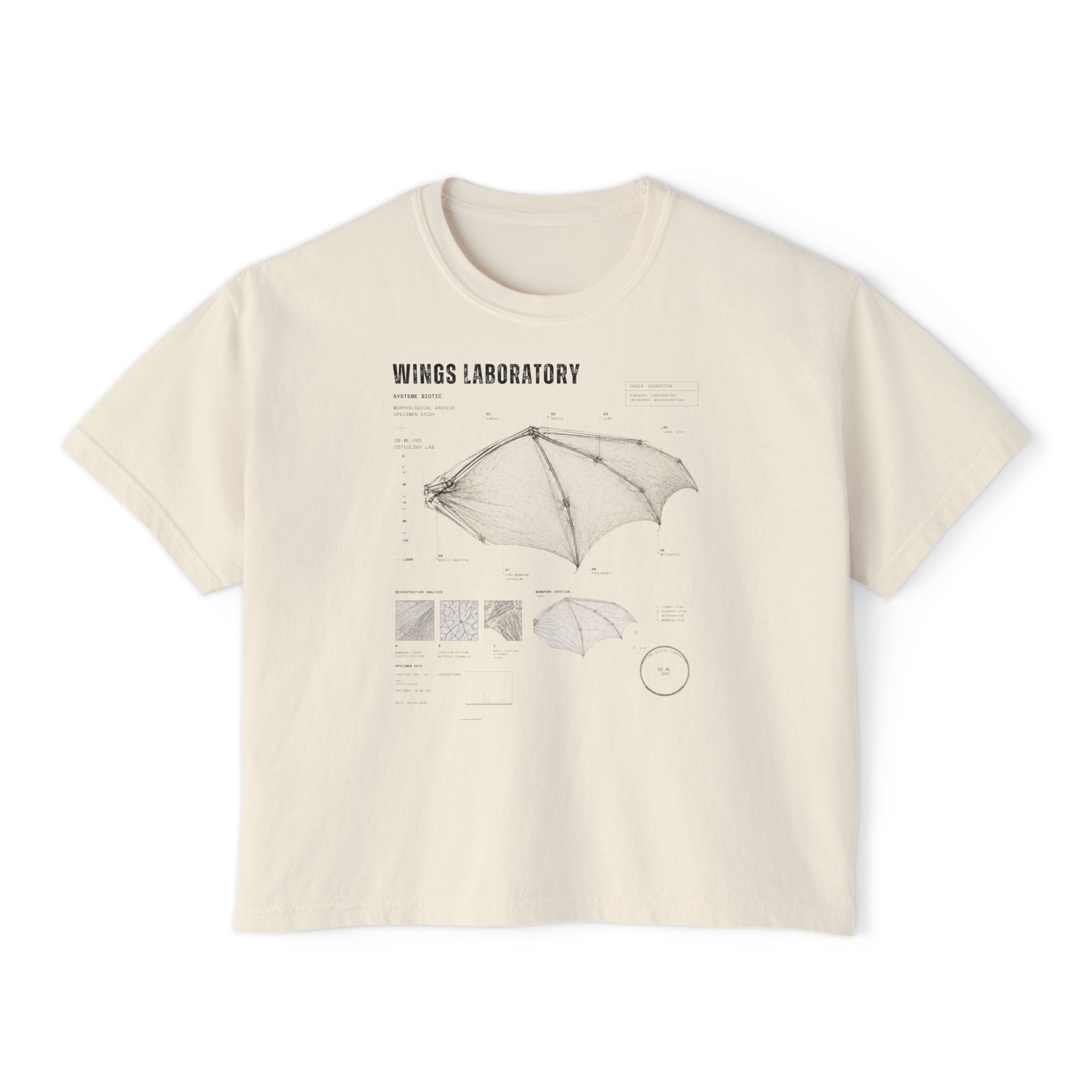Bat Wing Diagram Boxy Tee | Wings Laboratory Graphic T-Shirt