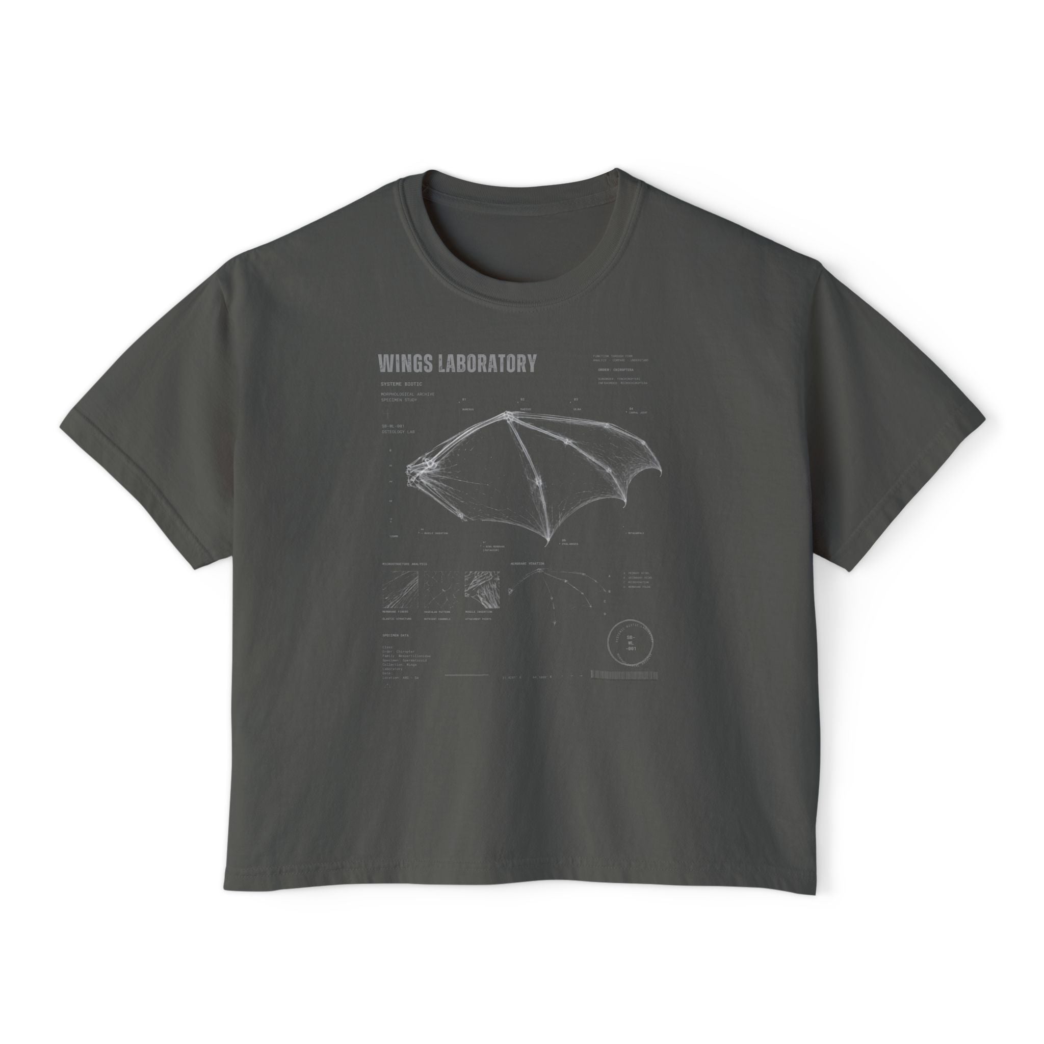 Bat Wing Diagram Boxy Tee | Wings Laboratory Graphic T-Shirt