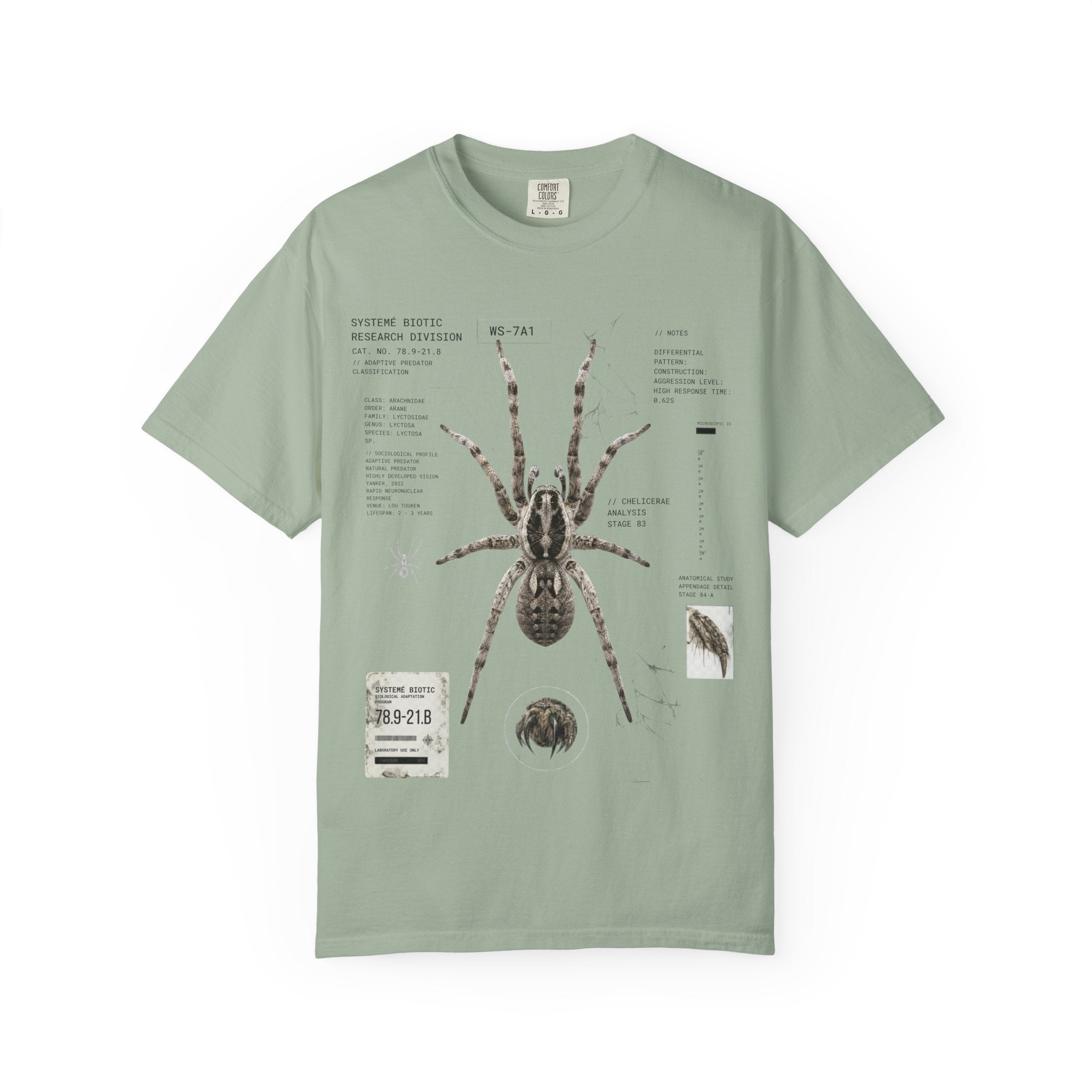Spider Anatomy Graphic T-Shirt — Vintage Scientific Illustration Tee