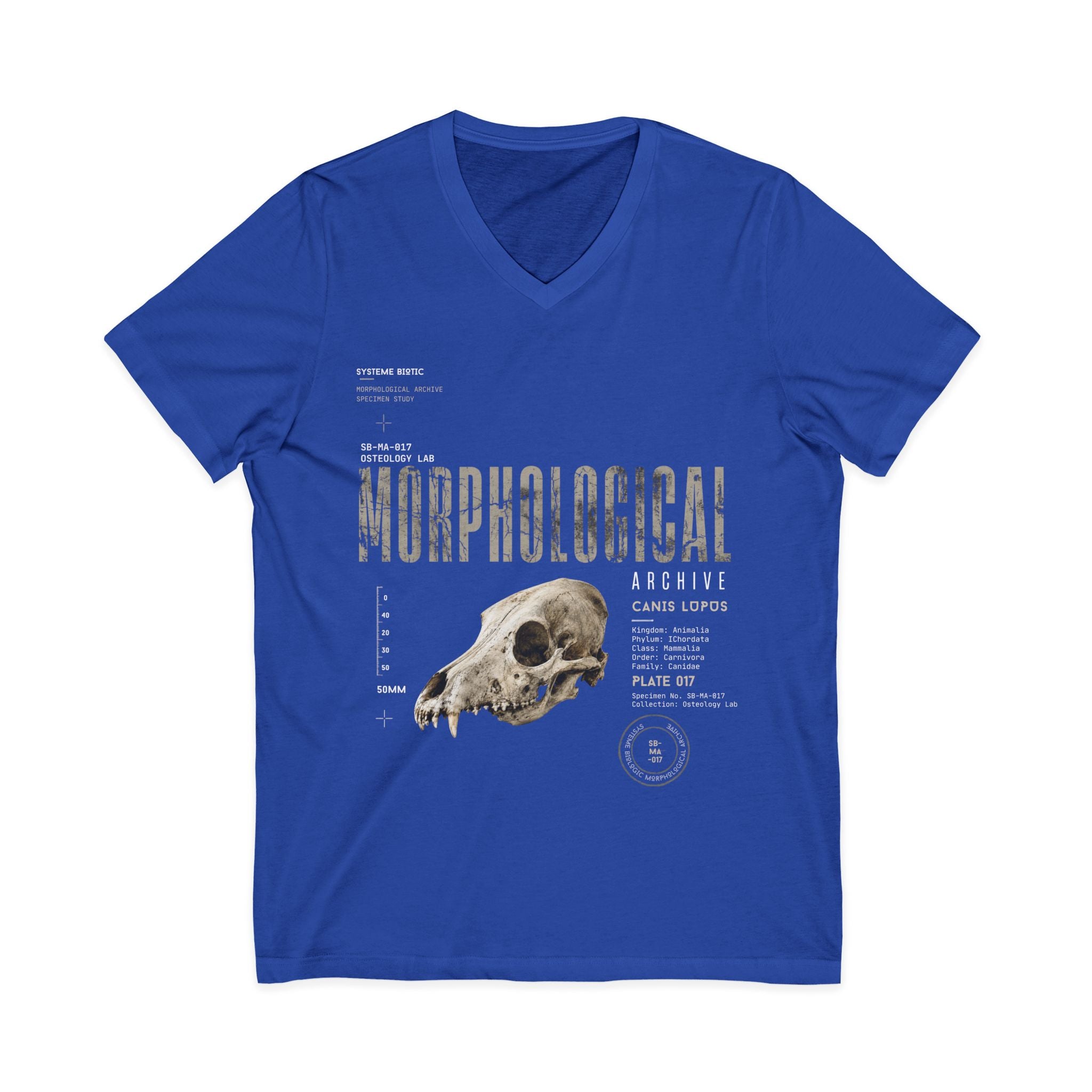 Morphological Skull Illustration Tee | Anatomical Graphic V-Neck Shirt