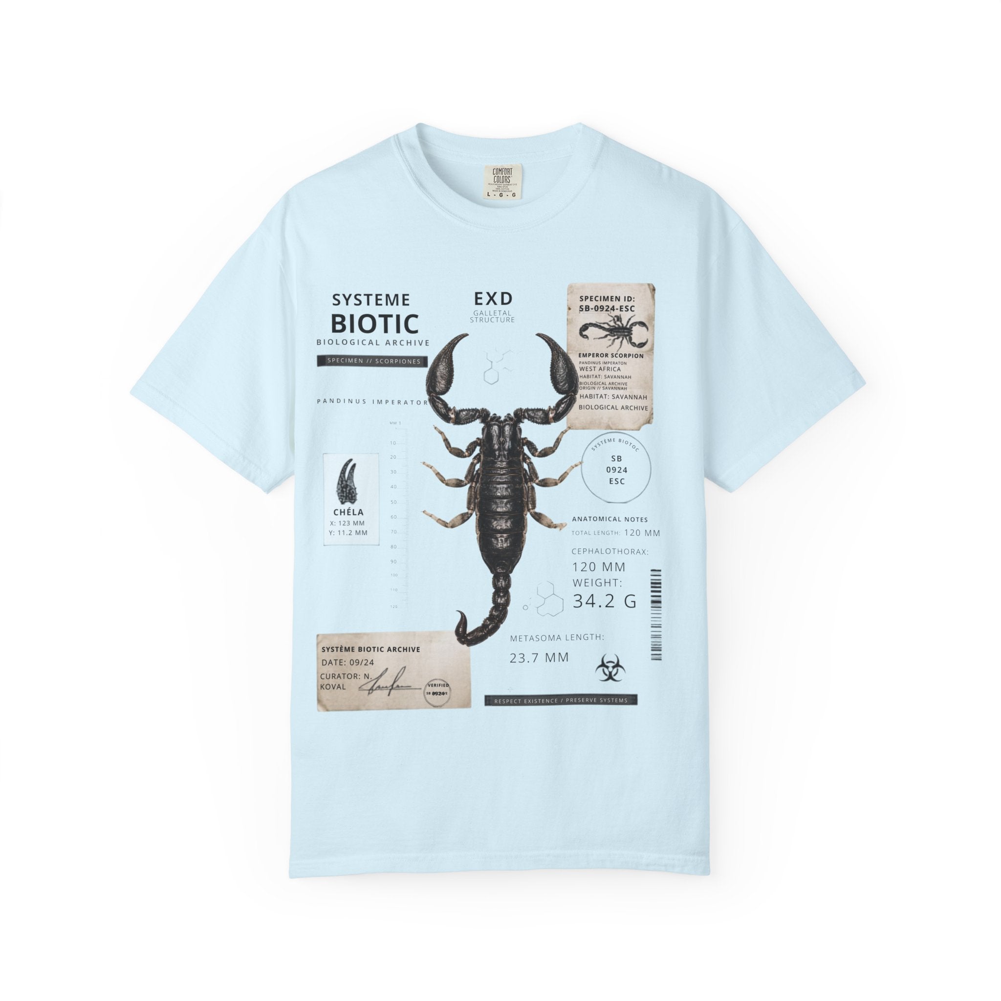 Scorpion Specimen Graphic T-Shirt