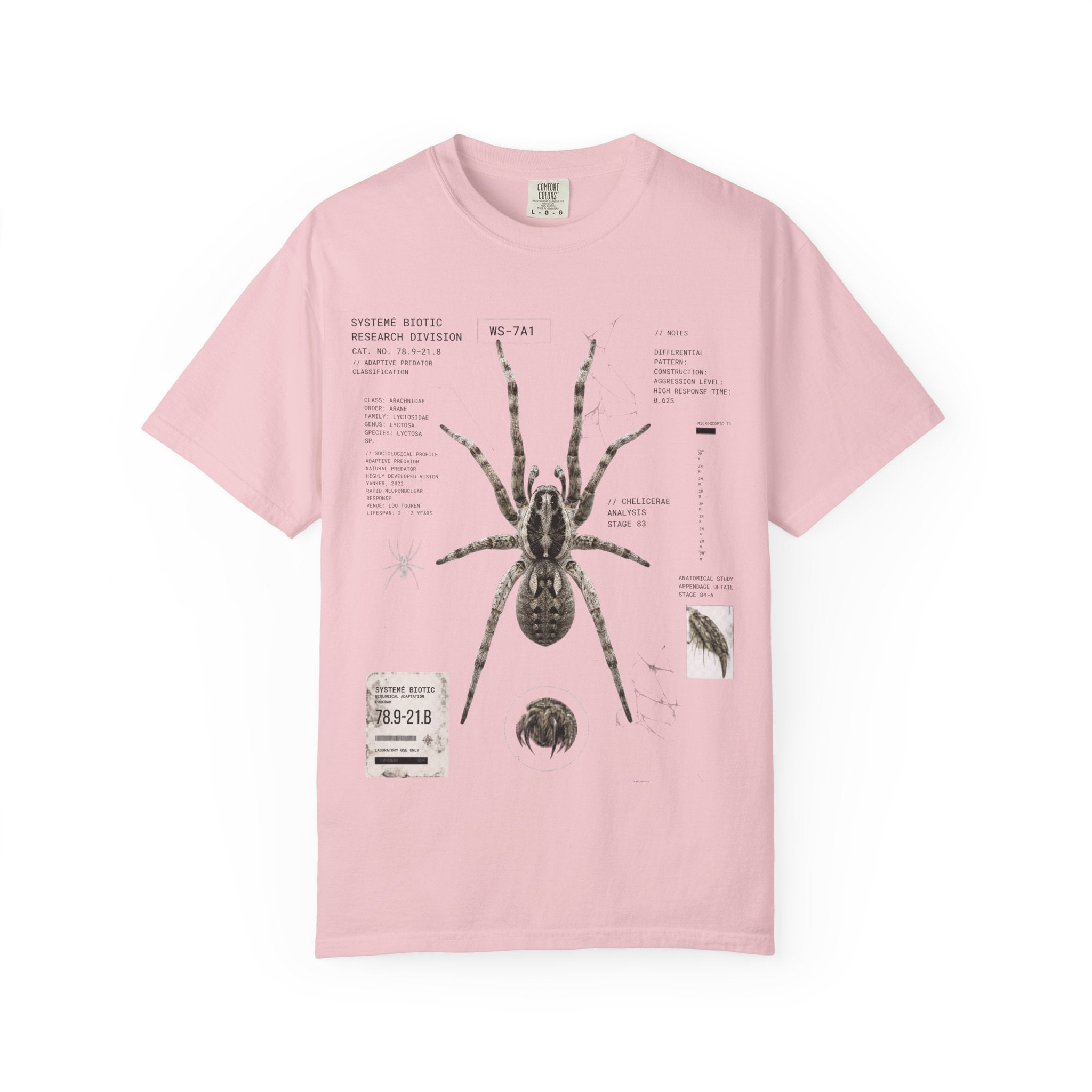 Spider Anatomy Graphic T-Shirt — Vintage Scientific Illustration Tee