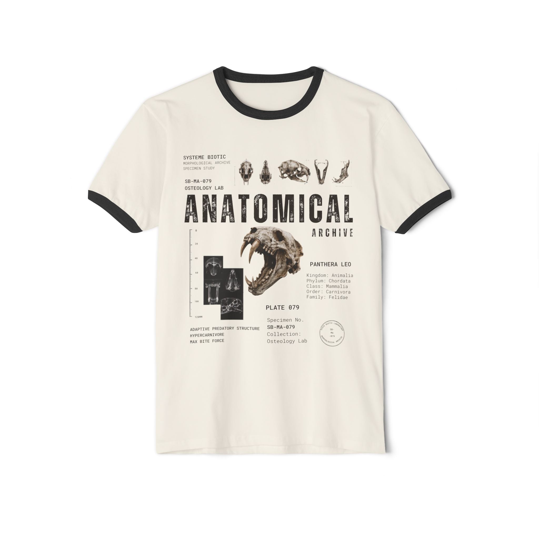 Anatomical Skull Diagram T-Shirt | Vintage Medical Illustration, Ringer Tee
