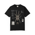Spider Anatomy Graphic T-Shirt — Vintage Scientific Illustration Tee