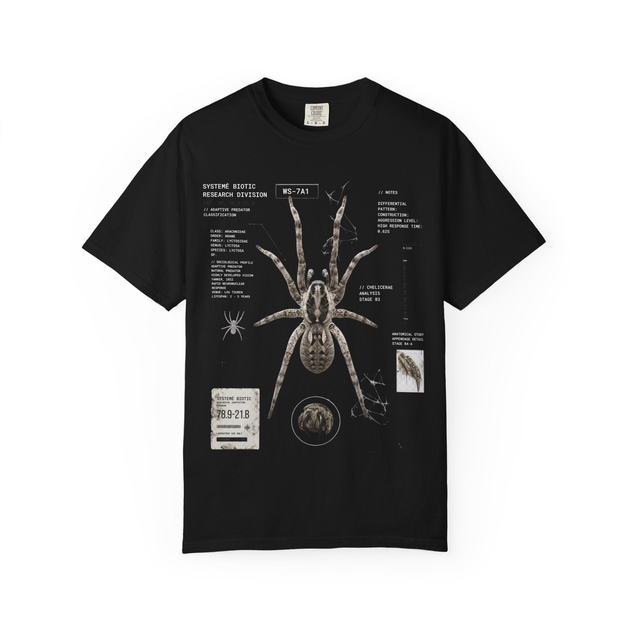 Spider Anatomy Graphic T-Shirt — Vintage Scientific Illustration Tee