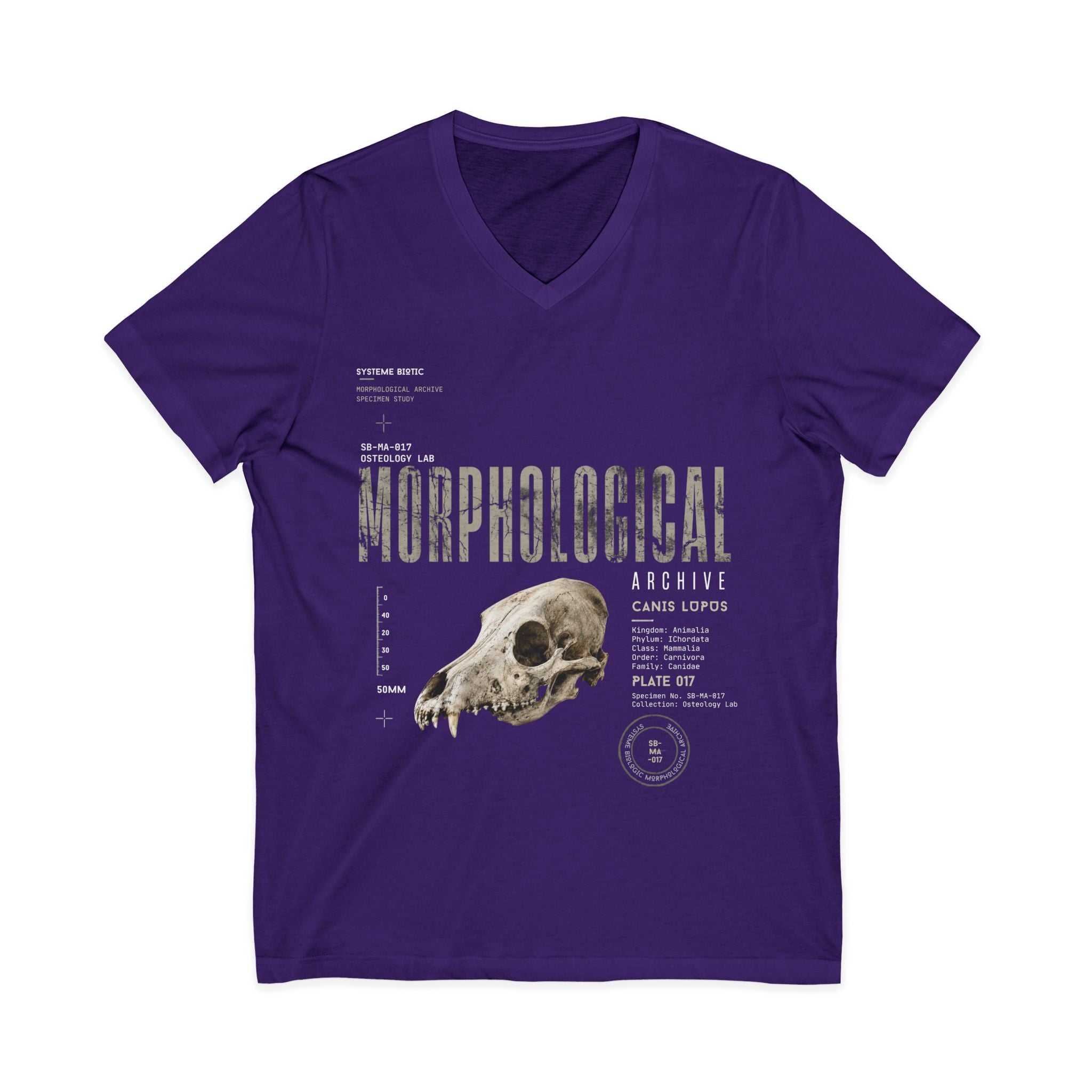 Morphological Skull Illustration Tee | Anatomical Graphic V-Neck Shirt